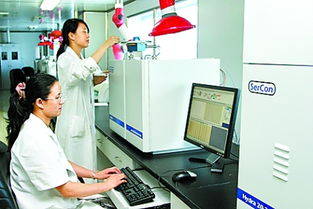 河南以網絡技術服務驅動食品出口升級，九項措施精準應對新挑戰